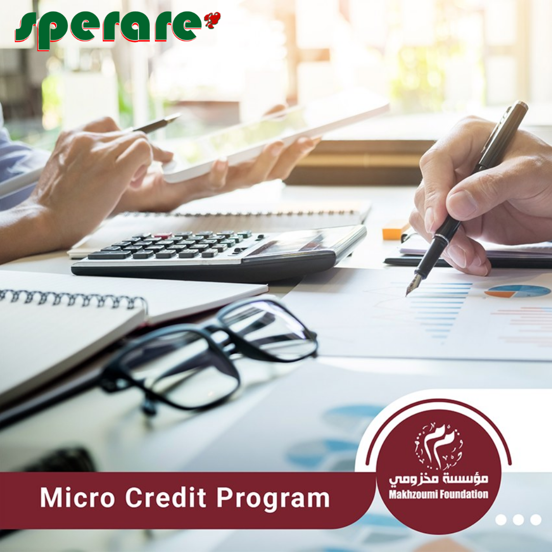 Micro Credit